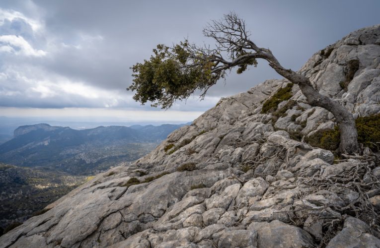 Kennedale: The Importance of Resilience in Overcoming Trauma